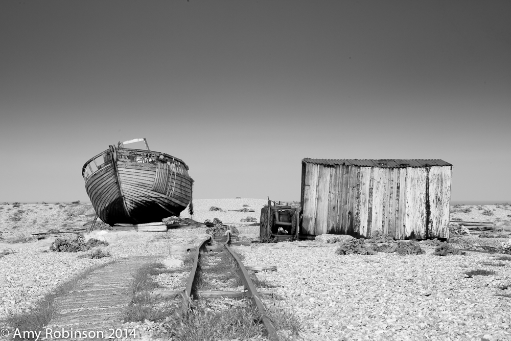 End Of The Line Amy Robinson Photography